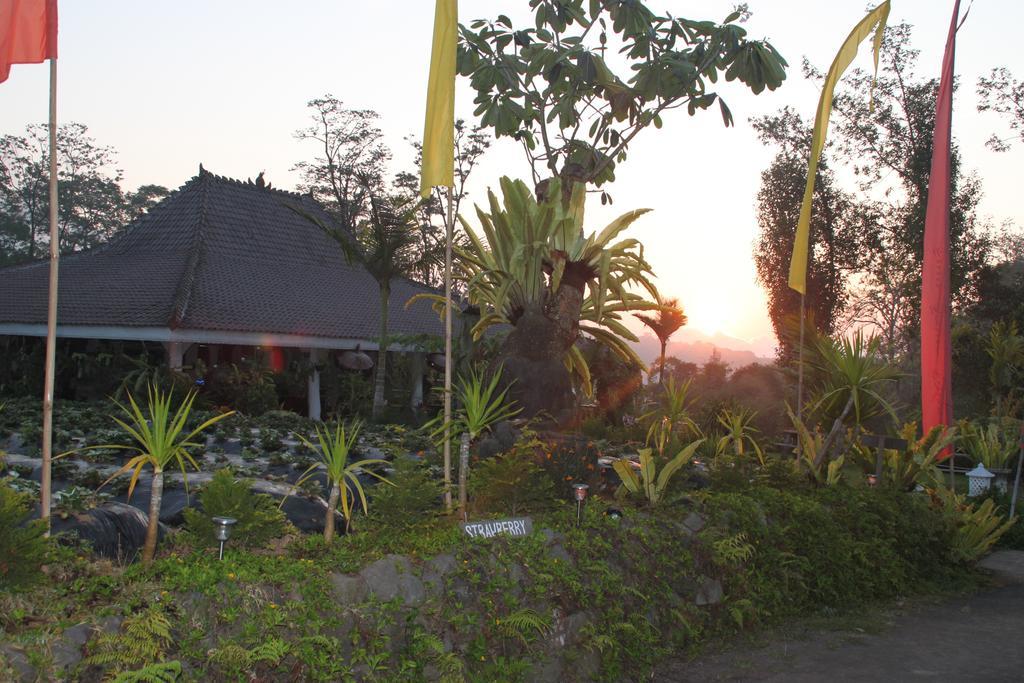 Warung Rekreasi Bedugul Hotel Exterior foto